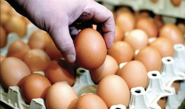 Për shkak të ngordhjes së pulave, çmimi i vezëve u dyfishua