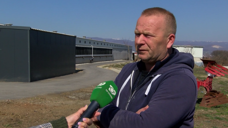 Kosova pa grip të shpendëve/ Prej tre muajsh pularitë janë në masa biosigurie