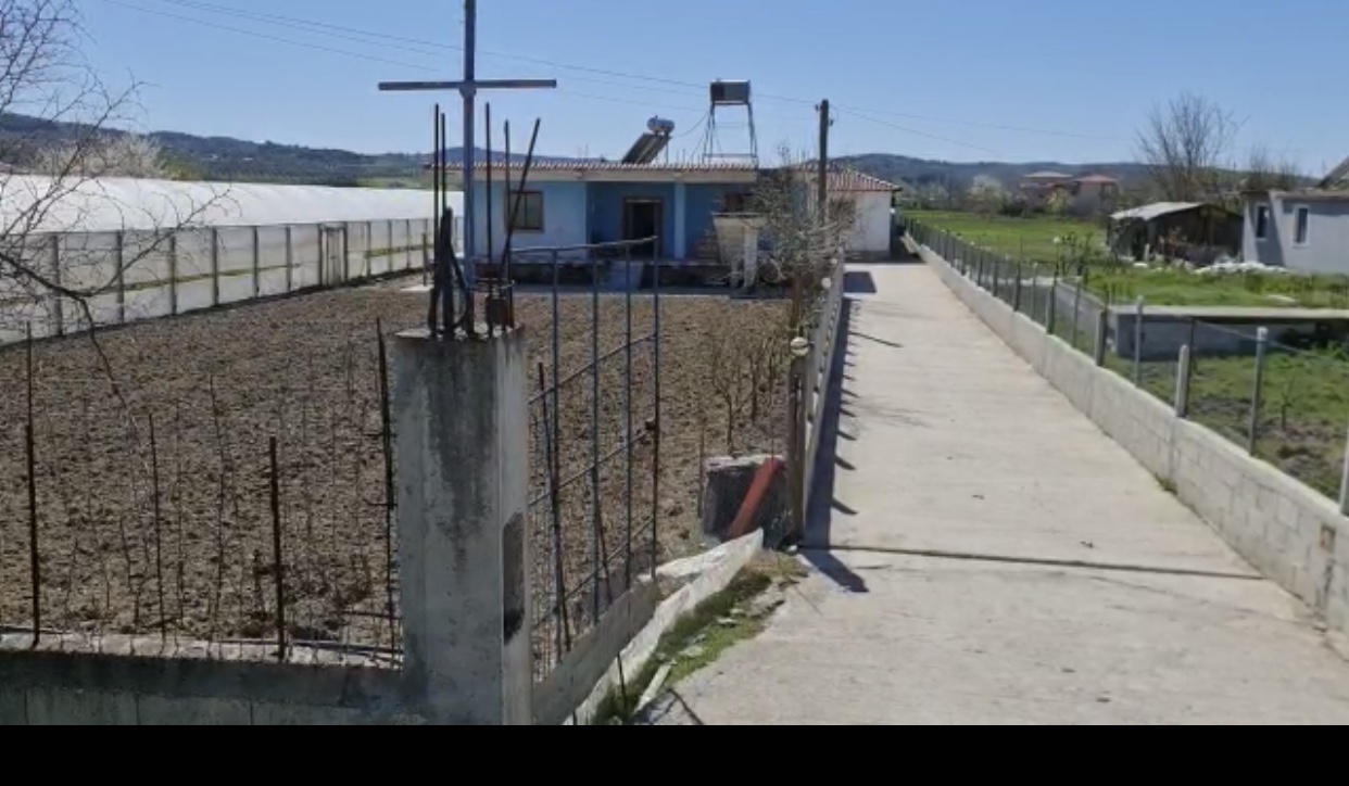 E vrau me thikë se nuk e donte për nuse, zbulohet motivi i krimit tronditës në Fier