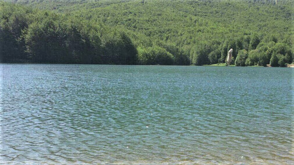 Dashuria e dyfishtë, si e vranë dhe hodhën në rezervuar tre autorët të riun në Maliq