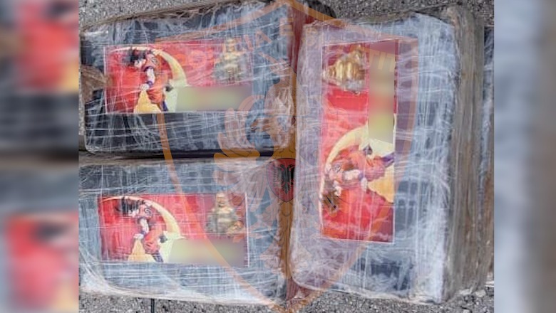 Kapen 45 kg kokainë e mbështjellë me ‘Gokun’ në Durrës! Droga e ndarë në 40 pako, e fshehur në konteinerin me mish pule nga Brazili! 2 të ndaluar