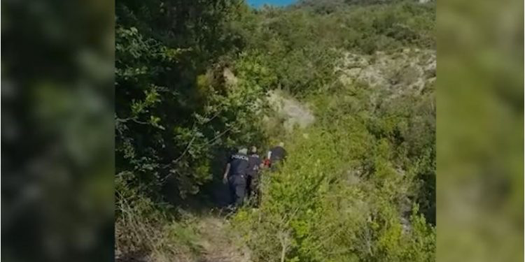 Policia shkon në mal dhe iu gjen drogën, arrestohen babë e bir në Miriditë