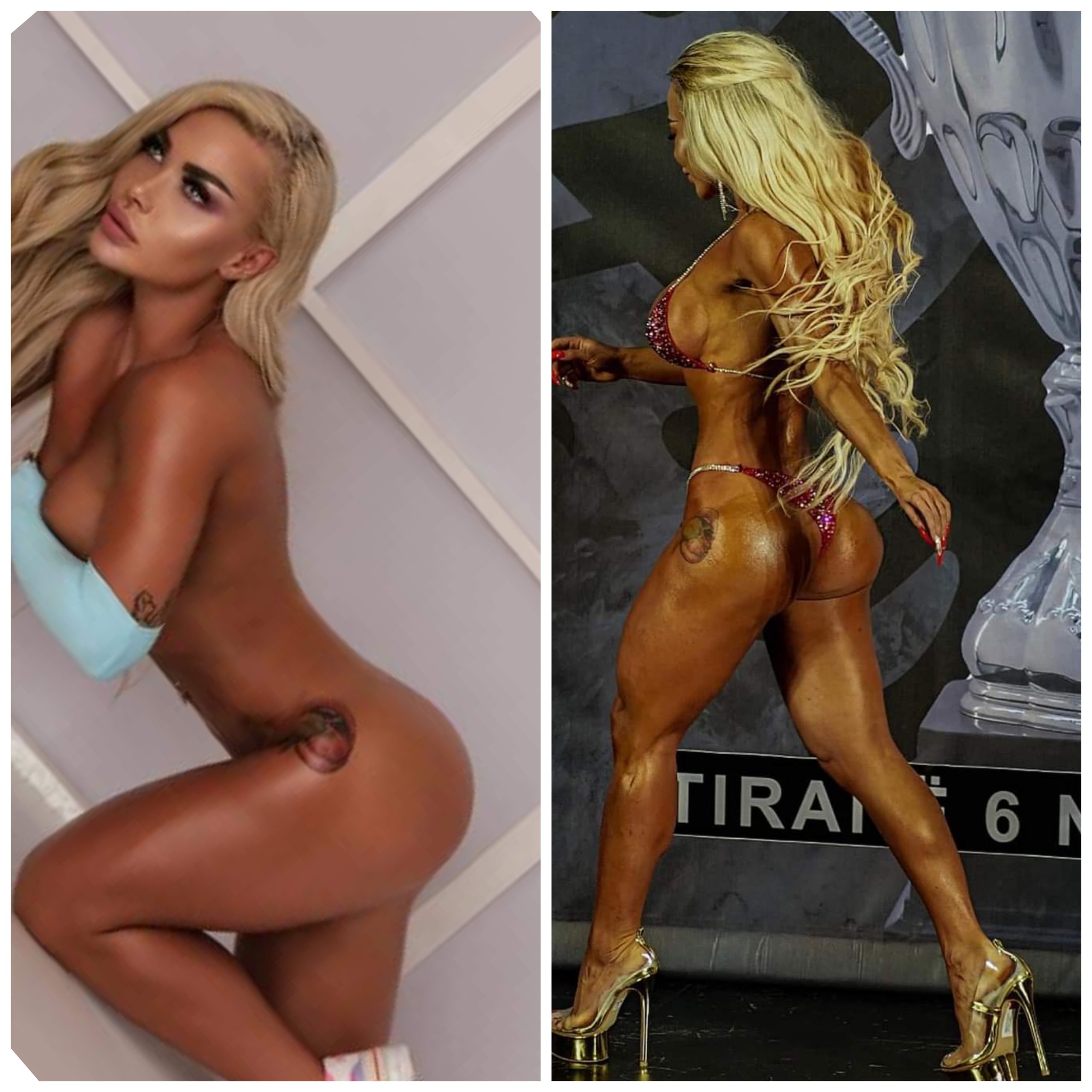 Seks në grup / Karriera e Iva Alikos nga këngëtare, tutore e Zogut të Tiranës në kampione në Bodybuilding