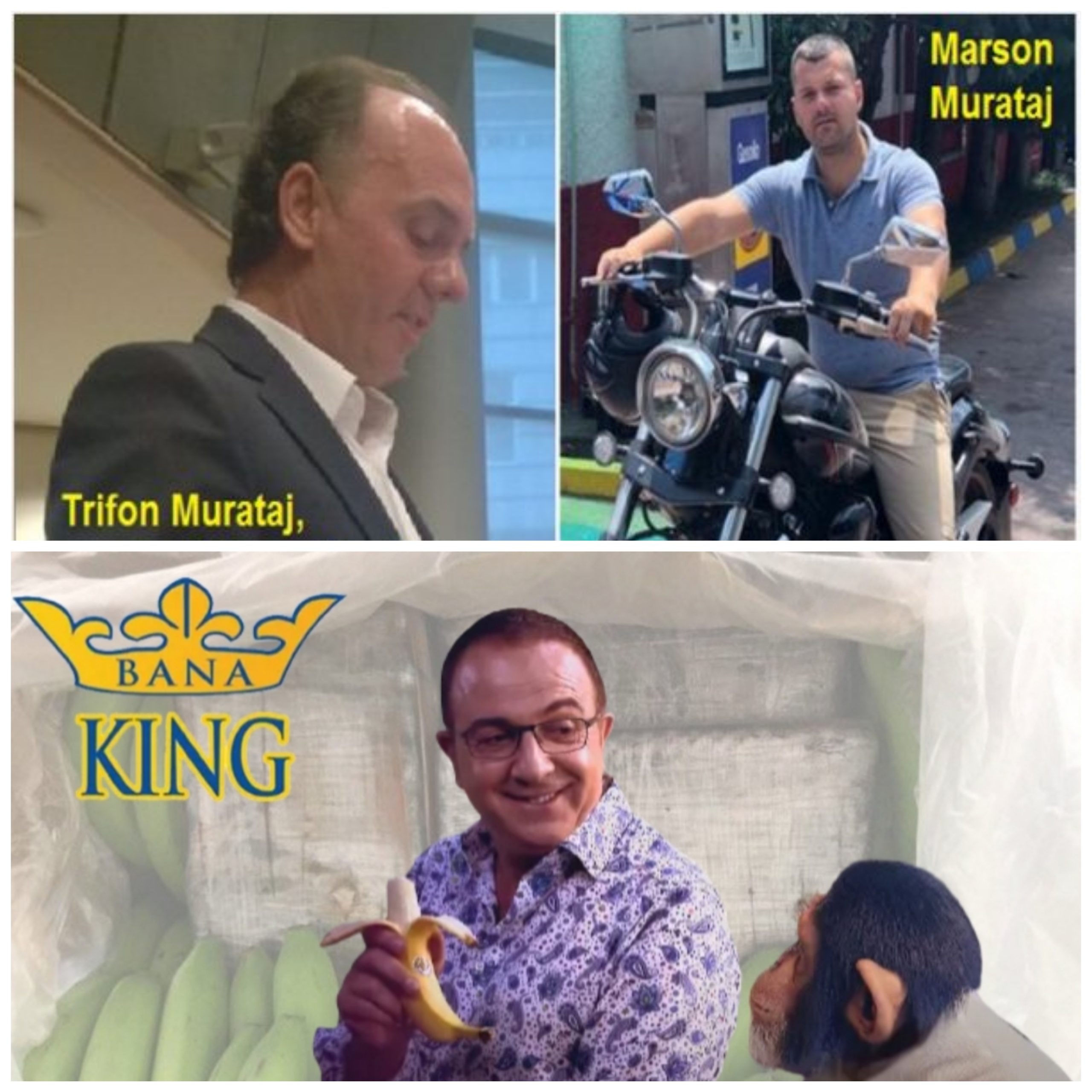 Trifon Murataj i Bana King fshihet pas 49 arkave me kokainë që u zhdukën në Durrës, kontenjeri i ‘Zico’ që reklamohet nga Arditi. Pse po fshihet emri i biznesmenit të drogës?