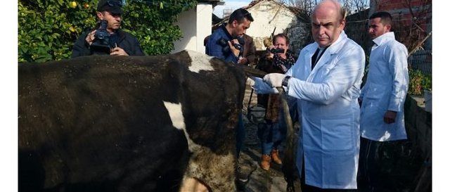 Profesor Mondi kërcënon Ramën: Ktheni timonin 180 gradë, se do përplasemi!