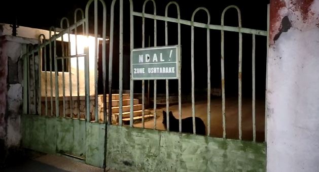 Tentoi të futej në Uzinën e Gramshit, në çantën e rusit 24-vjeçar u gjet një aparaturë spiunazhi: Çfarë u zbulua në çipe?