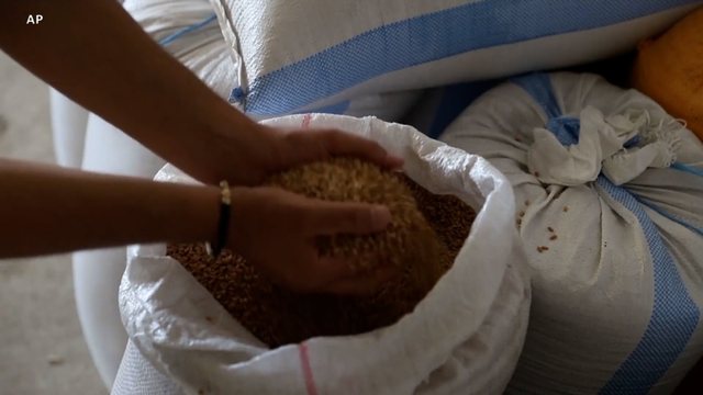 Rritja e çmimeve pas luftës në Ukrainë, dëmton fermerët në Shqipëri