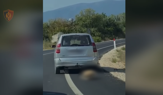 Tërhoqi zvarrë qenin me makinë, arrestohet 55-vjeçari nga Vlora