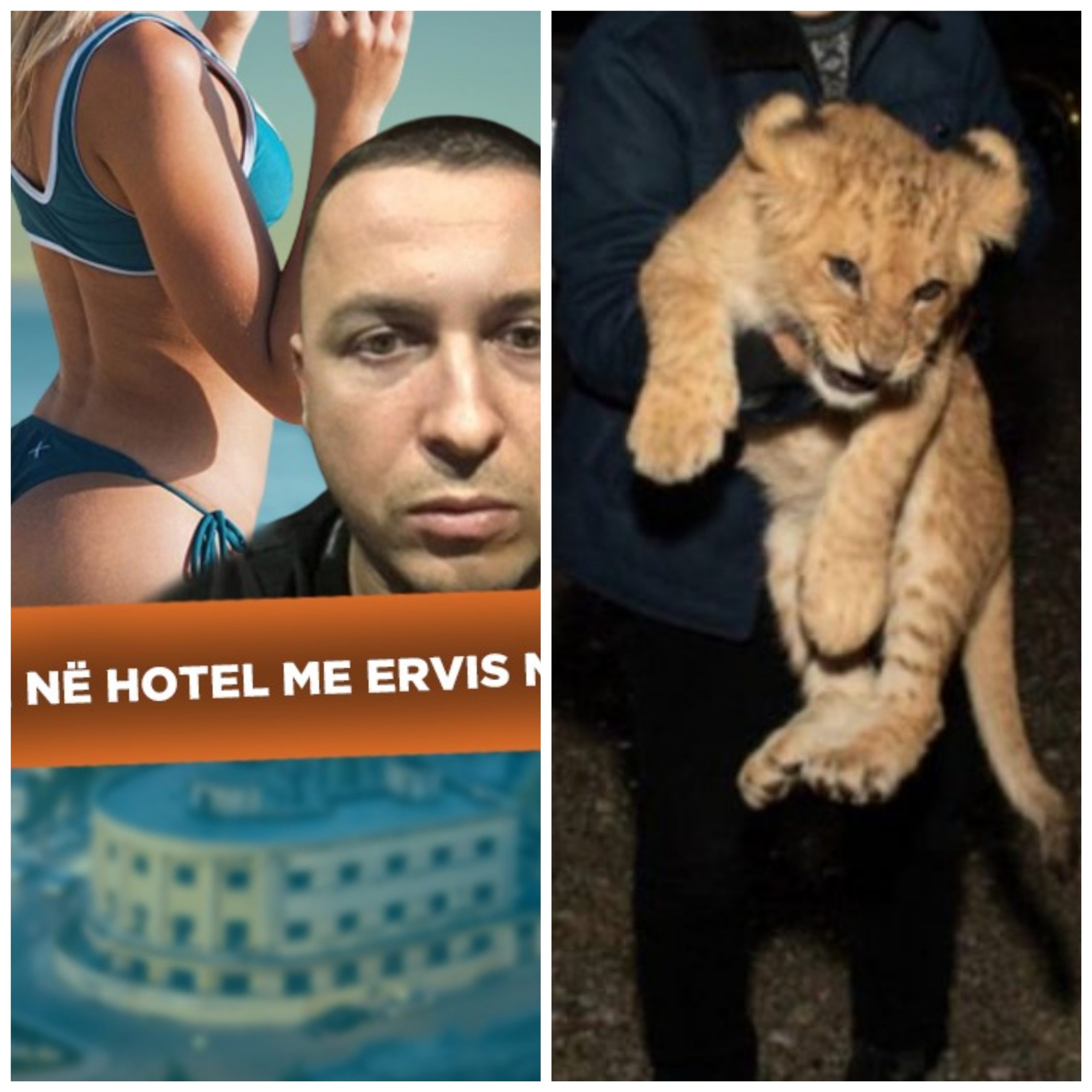 Kush janë miset e modelet që bënë foto me luanin e vogël të Vis Martinajt, ‘mbreti i bixhozit’ mund ta ketë sajuar vetë videon e pengmarrjes