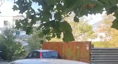 Anti-tank, snajper dhe kallashnikovë… zbulohet një tjetër bazë armësh në Tiranë! Ishin fshehur pranë një grope me shkurre te ‘5 Maji‘