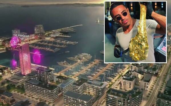 Bifteku i Nusretit që pagoi Alabbar në Dubai, i kushtoi Shqipërisë 820 mijë m2 bregdet