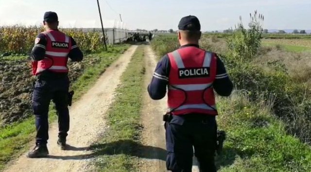 Zbulohet fermë kanabisi në Berat, 100 të arrestuar, mes tyre 80 gra