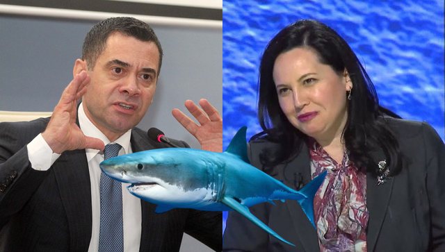 Drejtësia e “cironkave”/ Ndoqën arkën me peshq të Rovena Vodës, por jo “peshkaqenin” Ahmetaj