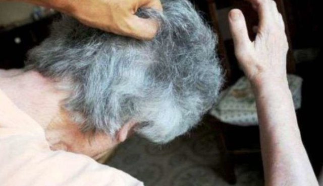 Nusja e godet me shpullë, vjehrra e kafshon me dhëmbë: Të dyja dënohen