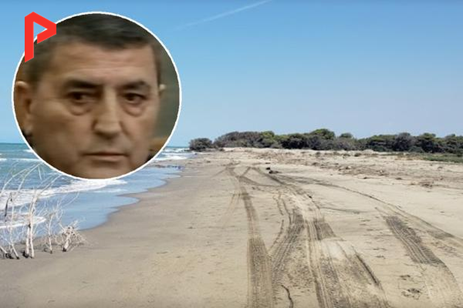 Shoku i Fanes (Luan Bregasi) përlan 90 ha pyll e plazh në bregdetin e Semanit si “Investitor strategjik”