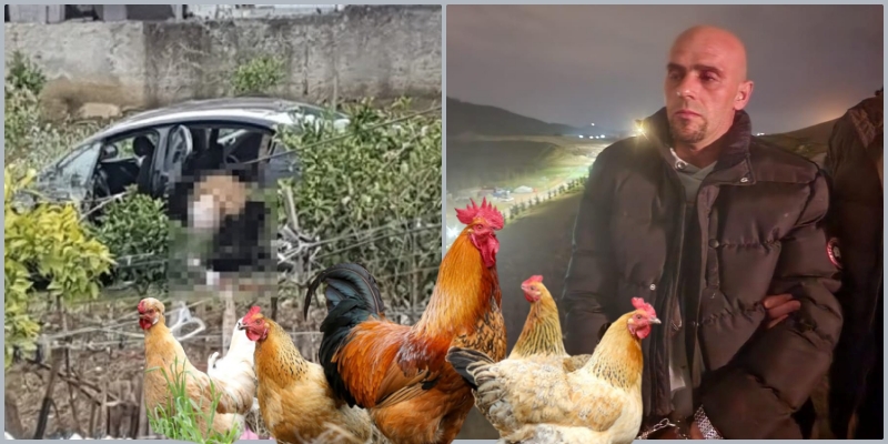 Nga hajdut pulash, në vrasës grash/ Zbulohet vjedhja e Dan Hutrës në kotecin në Durrës