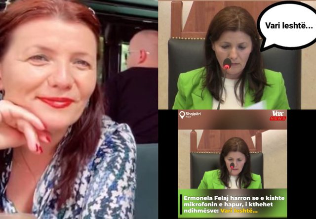 Zëvëndëskryetarja e Parlamentit sqaron gafën: Vari leshërat, mendova!