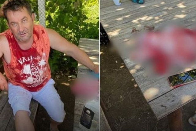 U dhunuan nga shoferi i Lindita Nikollës, anëtarët e familjes Kaçi pajisen me urdhër-mbrojtjeje