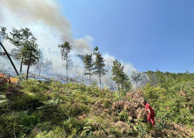 Zjarr masiv në Porto-Palermo, ndërhyhet me helikopter. Evakuohen banorët