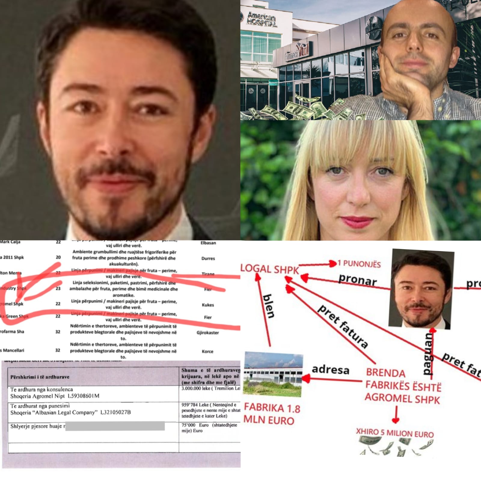 Letrat / Kompania e frutave të pyllit që financoi Shkëlzen Berishën mori 200 milionë lekë nga fondet e bujqësisë. Fabrikë boronicash apo pastrimi parash? (Disa fakte)