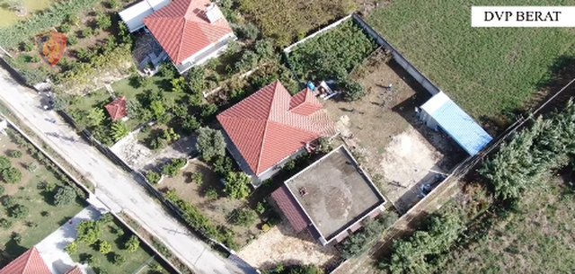 “Brothers”-at me 240 rrënjë kanabis dhe shtëpi bari, 1 i arrestuar në Dimal, vëllai i tij ende në kërkim