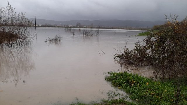 Lumi Ishëm rrezikon të dalë nga shtrati, përmbyten disa fshatra në Krujë
