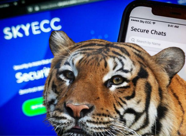 Kush është “Tigri” i Drejtësisë tek “Sky Ecc” që ka dhënë 500 mijë euro për të fundosur vëllezërit Duka?