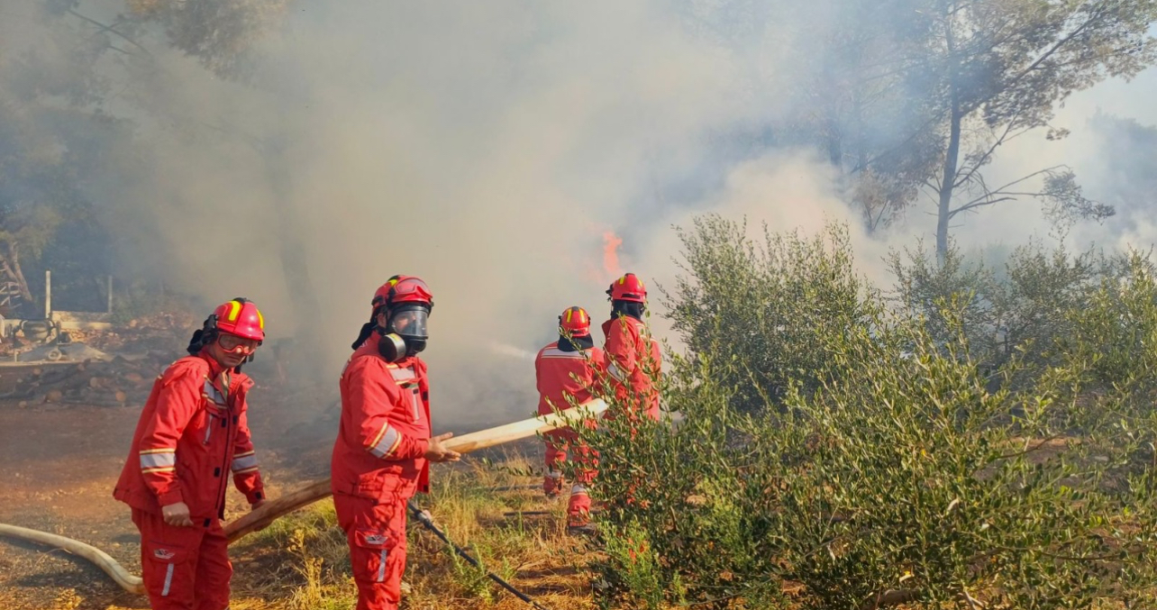 Situata e zjarreve në vend, ende 12 vatra aktive! Dhjetëra zjarrfikës në terren