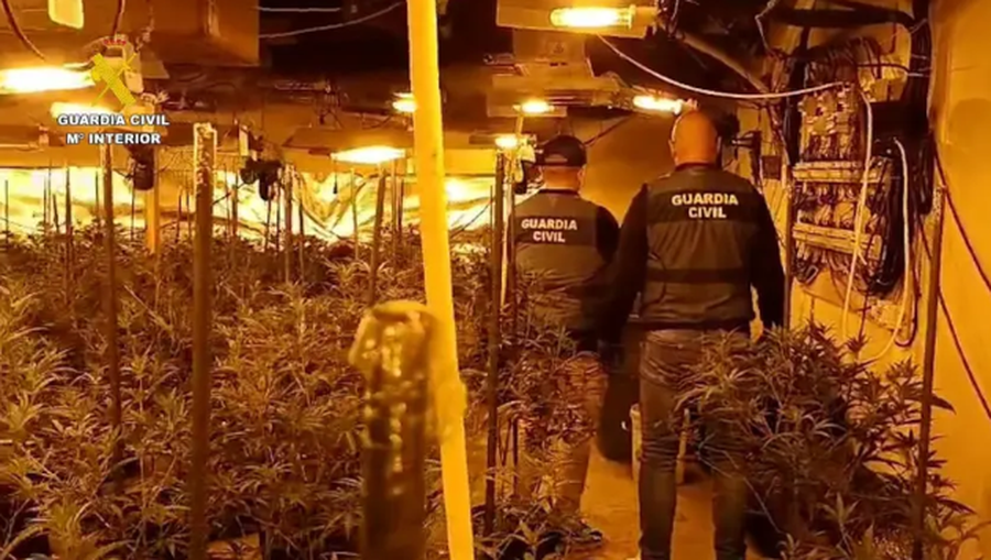 Shkatërrohet banda shqiptare e drogës, 13 persona në pranga, harxhonin elektricitet sa 220 shtëpi