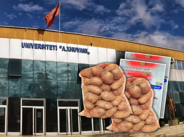 “Të kam sjell një thes patate”, zbardhen përgjimet e Elbasanit, studentët i “korruptonin” pedagogët me produkte fshati!