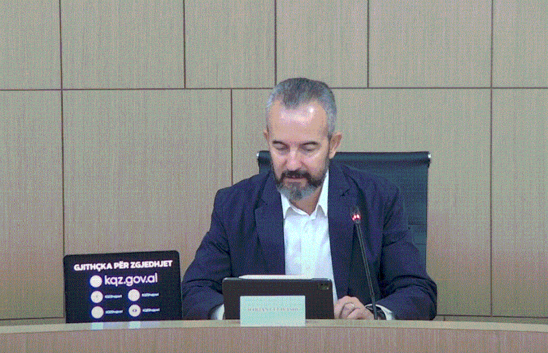 Vota e diasporës, Celibashi: Duhet të ndryshojnë afatet e regjistrimit