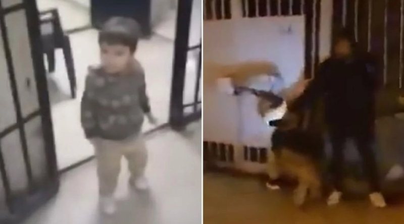 Momenti kur gra dhe fëmijë dalin nga burgu famëkeq Sednaya