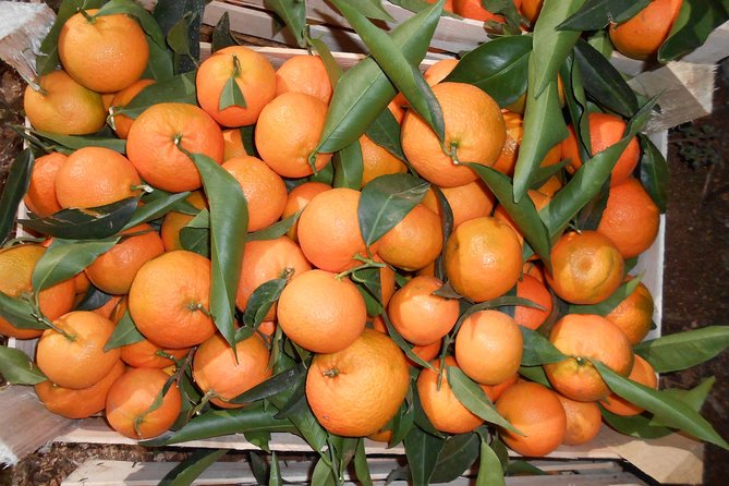 Mandarinat e rrezikshme, Ministria e Bujqësisë njoftim të rëndësishëm për konsumatorët