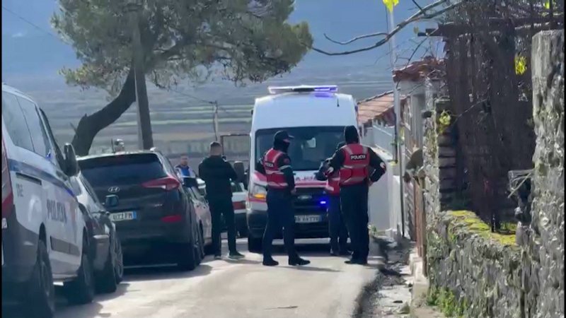 Vrau burrin me sëpatë në Sarandë, gruaja shtrohet në spitalin psikiatrik