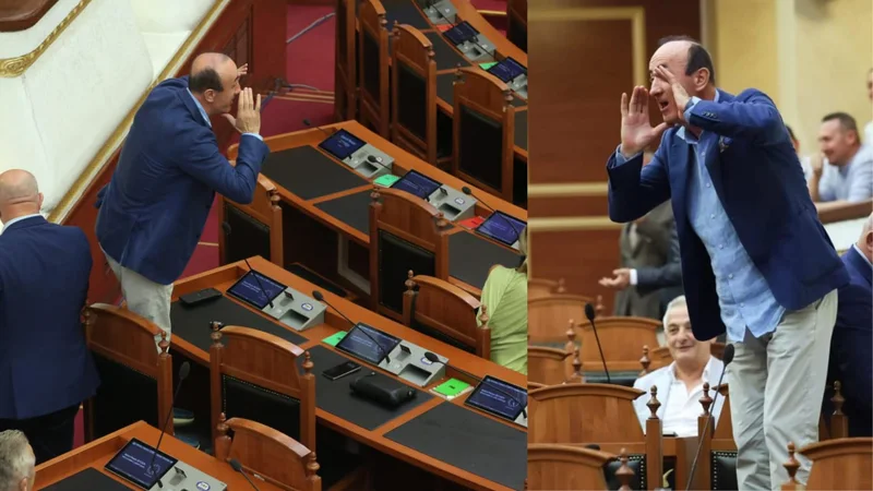 “Për mandatin e Xhaçkës nuk vendos mazhoranca”, “shpërthen” Dash Sula: Ku pjerdhin këta për Kushtetutë e ligj?!