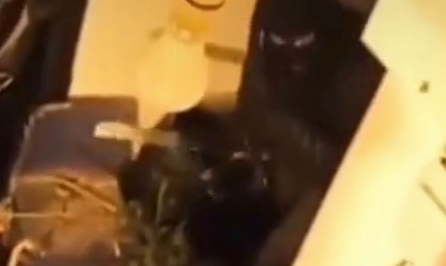 The Sun: Si gangsterët shqiptarë e përdorin TikTok-un për të goditur rivalët në trafikun e drogës