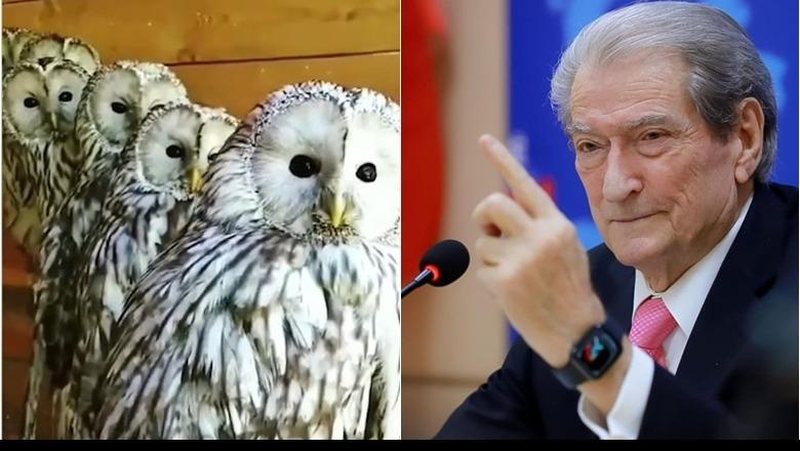 Rama ironizon deklaratën e Berishës, poston video me bufë: Në rrjedhje të lirë