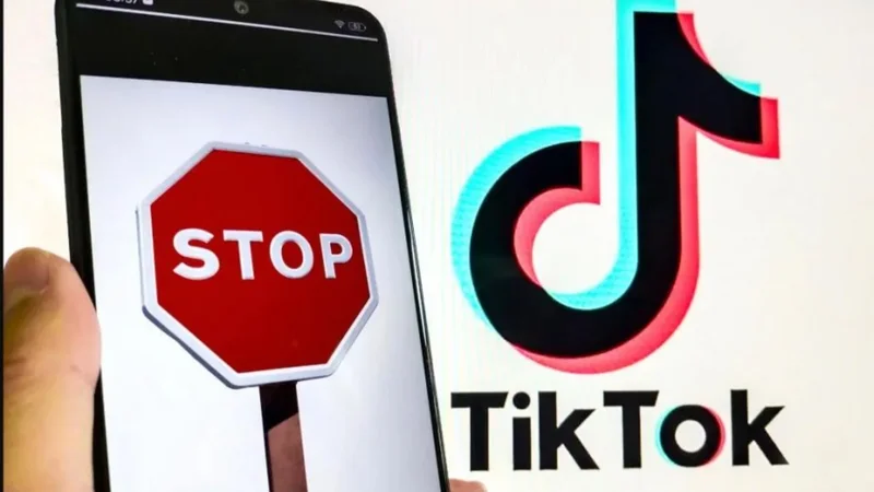 Qeveria miraton vendimin për mbylljen e TikTok për një vit, ja rreziqet që vijnë nga kjo platformë