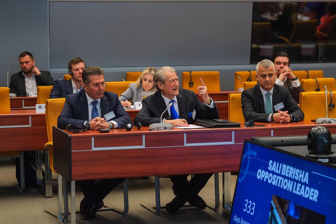 Anglishtja e Rrugës Mustafa Matohiti ‘çmend’ Brukselin, sëkëlldisja e Syrit për përkthimin e broçkullave të pronarit