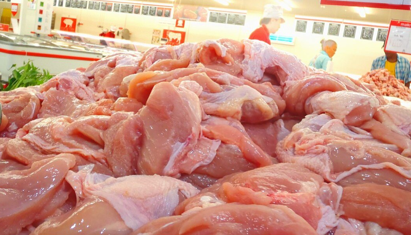 Mjekja infeksioniste: Ja shenjat që shfaq një person i infektuar me Salmonelë! Si të mbrohemi nga bakteri