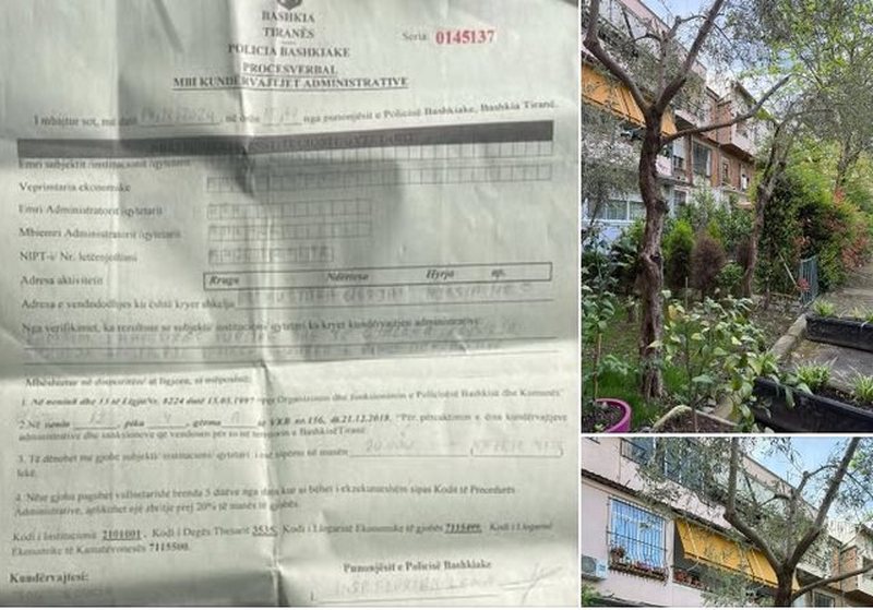 “Kjo nuk është policia bashkiake që na duhet” Erion Braçe: I vendosin qytetarit 200 mijë lekë gjobë se krasiti pemët e veta