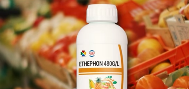 Etefoni, hormoni kancerogjen që shitet në Shqipëri me dijeninë e Ministrisë së Bujqësisë