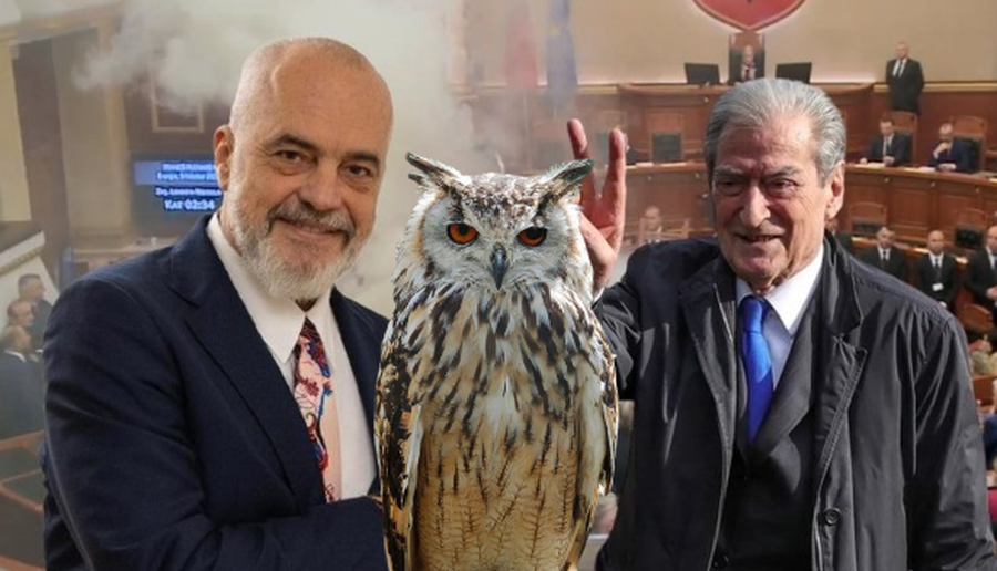 “Pse nuk bën debat me Berishën?” – Rama i përgjigjet komentuesit: Me bufin?! Ai është në rrëshqitje e sipër