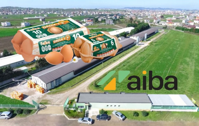 Ngordhin rreth 500 mijë pula, gripi i shpendëve “shuan” pularitë e “Rea’s” dhe “AIBA-s”
