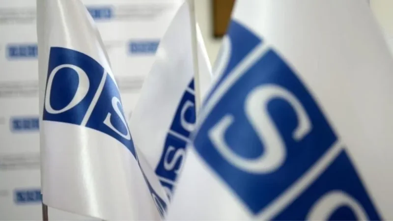 Zgjedhjet – Raporti i OSBE/ODIHR: Vota e diasporës, test i rëndësishëm për institucionet e vendit! Disa rekomandime nuk janë zbatuar, partitë politike… 