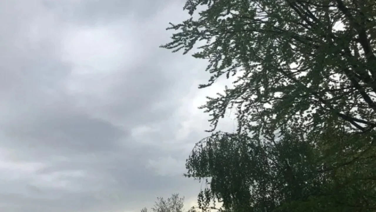 Vranësira dhe rebeshe shiu të izoluara në orët e pasdites, ja si parashikohet moti këtë të hënë 