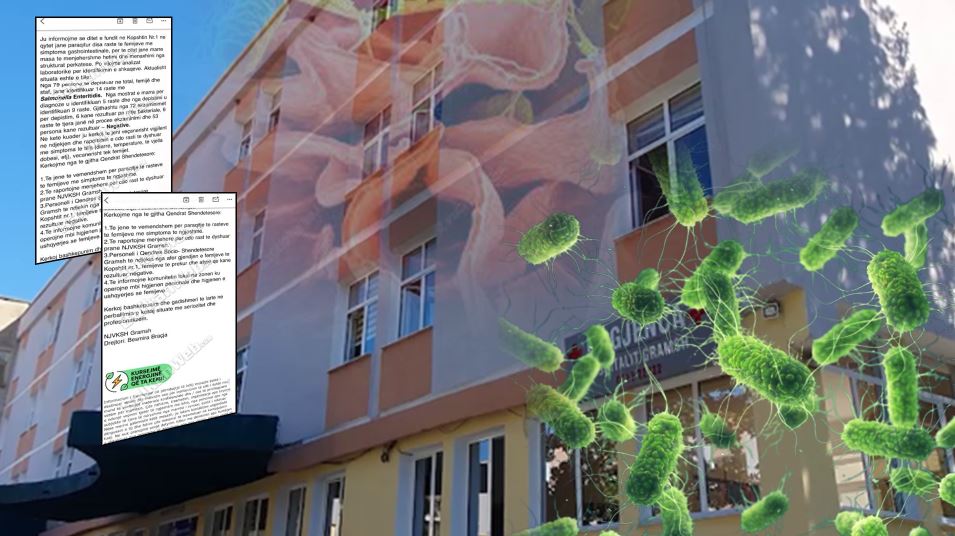Helmimi me salmonelë në Gramsh/ 14 fëmijë të infektuar. Zbulohet e-maili për mjekët: Vigjilencë në qendrat shëndetësore!