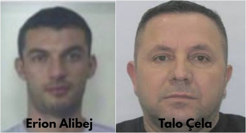 “Dilja si shpërndarësh picash” Alibej: Doja me çdo kusht Talo Çelën, gjallë a vdekur