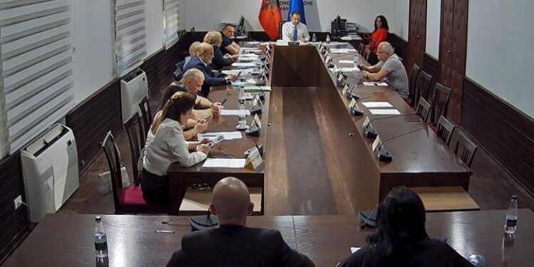 Investimet e huaja në sektorë kritikë në filtrin e qeverisë, Shalsi: Ligji kërkesë e BE!