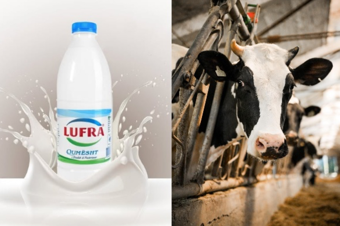 Mashtrimi/ Kompania “Lufra” reklamon lopën Lara, por s’ka fermë